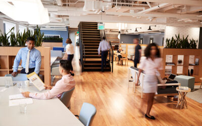 SBA 504 Loan & Rates Monitor – February 2026